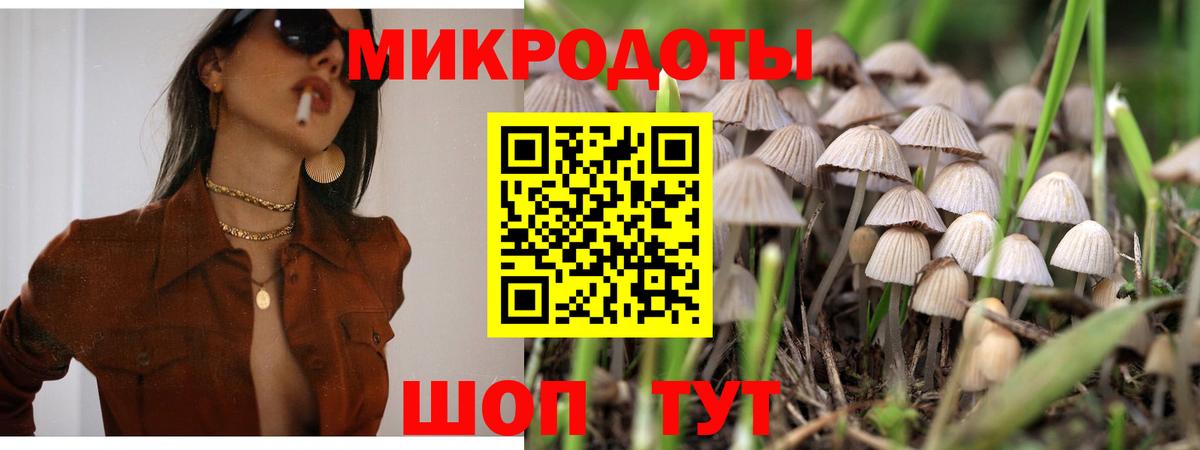 Галлюциногенные грибы Magic Shrooms Свободный